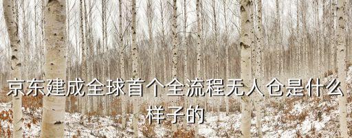 中國最大的機器人倉庫