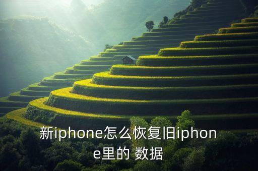 新iphone怎么恢復(fù)舊iphone里的 數(shù)據(jù)