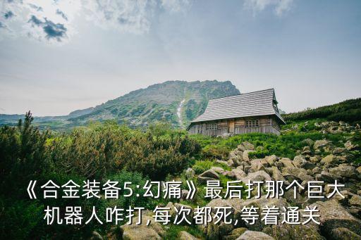 《合金裝備5:幻痛》最后打那個(gè)巨大 機(jī)器人咋打,每次都死,等著通關(guān)