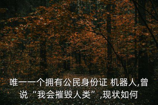 索菲亞機(jī)器人 芯片,機(jī)器人索菲亞介紹