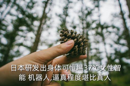 機(jī)器人日本,我的男友是戀愛模擬機(jī)器人日本