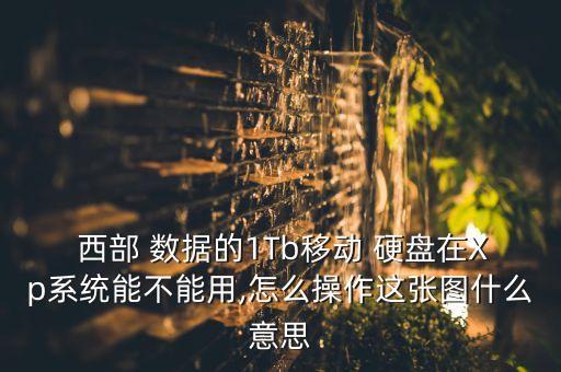 西部數(shù)據(jù) 移動(dòng)硬盤 1t
