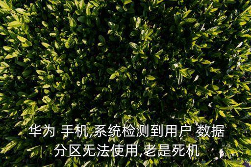  華為 手機(jī),系統(tǒng)檢測(cè)到用戶(hù) 數(shù)據(jù) 分區(qū)無(wú)法使用,老是死機(jī)