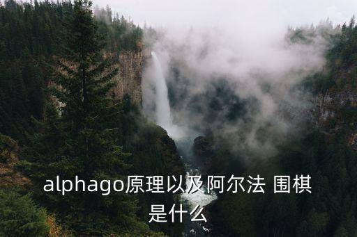 谷歌機(jī)器人圍棋,谷歌圍棋alphago下載