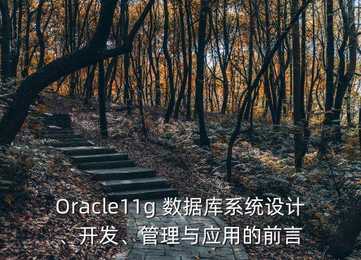 Oracle11g 數(shù)據(jù)庫系統(tǒng)設(shè)計(jì)、開發(fā)、管理與應(yīng)用的前言