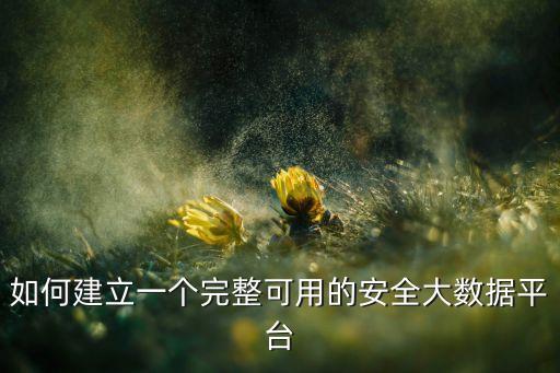 如何建立一個(gè)完整可用的安全大數(shù)據(jù)平臺(tái)