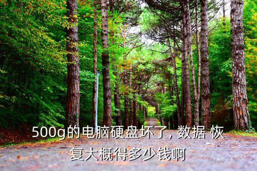 500g的電腦硬盤壞了, 數(shù)據(jù) 恢復(fù)大概得多少錢啊