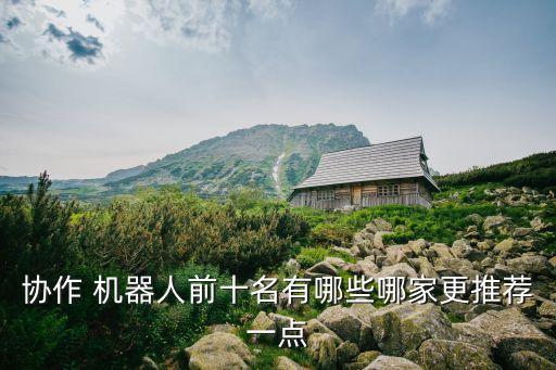 最先進(jìn)有什么小機(jī)器人