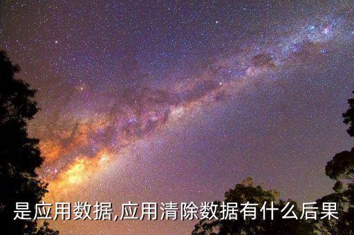 什么是應(yīng)用數(shù)據(jù),應(yīng)用清除數(shù)據(jù)有什么后果