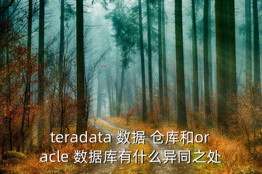 數(shù)據(jù)倉庫和數(shù)據(jù)庫區(qū)別,簡述數(shù)據(jù)倉庫與傳統(tǒng)數(shù)據(jù)庫的主要區(qū)別