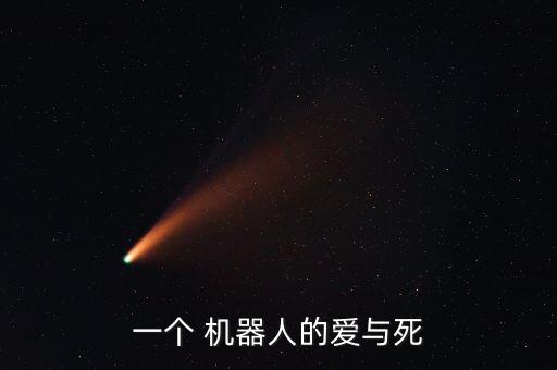 一個(gè) 機(jī)器人的愛與死