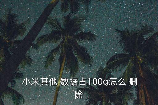  小米其他 數(shù)據(jù)占100g怎么 刪除