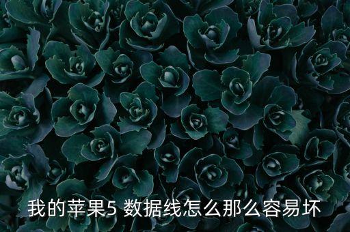 我的蘋果5 數(shù)據(jù)線怎么那么容易壞