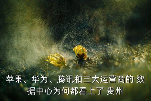 蘋果、華為、騰訊和三大運(yùn)營(yíng)商的 數(shù)據(jù)中心為何都看上了 貴州