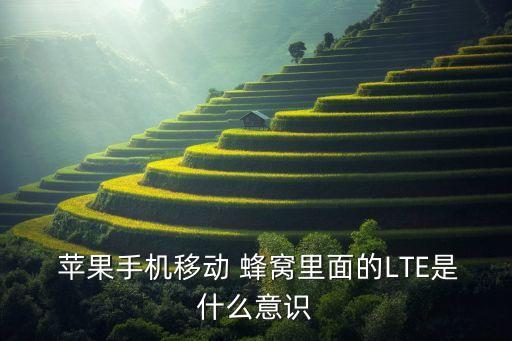 蘋果lte網(wǎng)絡(luò)蜂窩數(shù)據(jù),蘋果手機(jī)打開蜂窩數(shù)據(jù)沒有網(wǎng)絡(luò)怎么辦