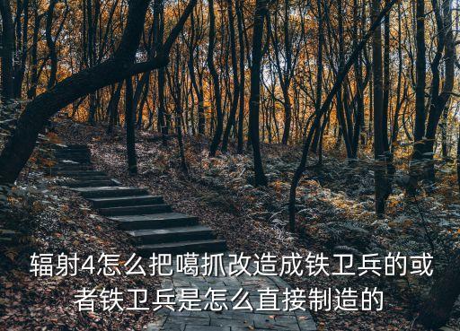  輻射4怎么把噶抓改造成鐵衛(wèi)兵的或者鐵衛(wèi)兵是怎么直接制造的