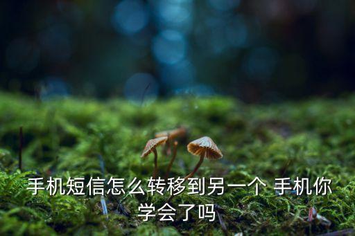  手機(jī)短信怎么轉(zhuǎn)移到另一個(gè) 手機(jī)你學(xué)會(huì)了嗎