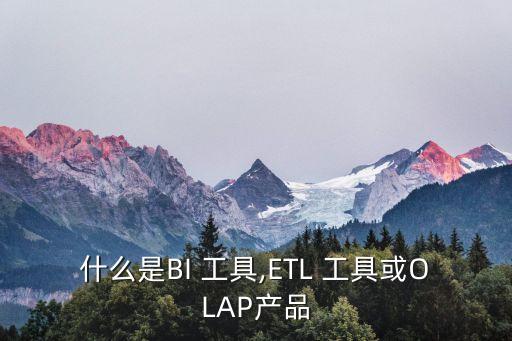 什么是BI 工具,ETL 工具或OLAP產(chǎn)品
