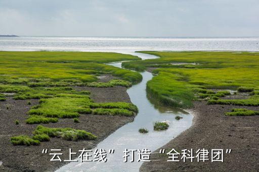 “云上在線”打造“全科律團(tuán)”