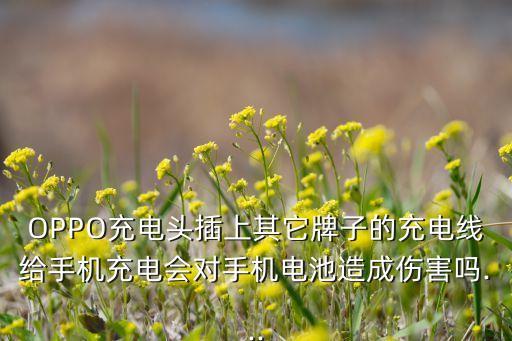 oppo用別的數(shù)據(jù)線,OPPO用別的數(shù)據(jù)線沒法快充