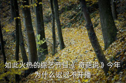如此火熱的綜藝節(jié)目《 奇葩說》今年為什么遲遲不開播