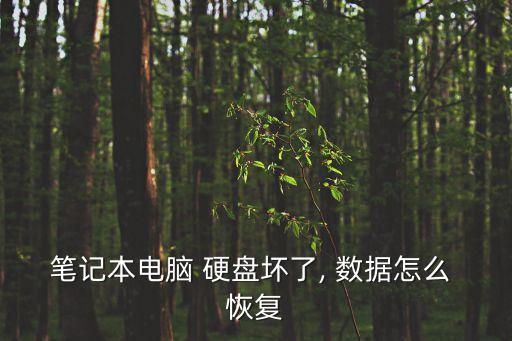 筆記本電腦 硬盤壞了, 數(shù)據(jù)怎么 恢復(fù)