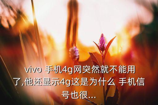  vivo 手機4g網突然就不能用了,他還顯示4g這是為什么 手機信號也很...