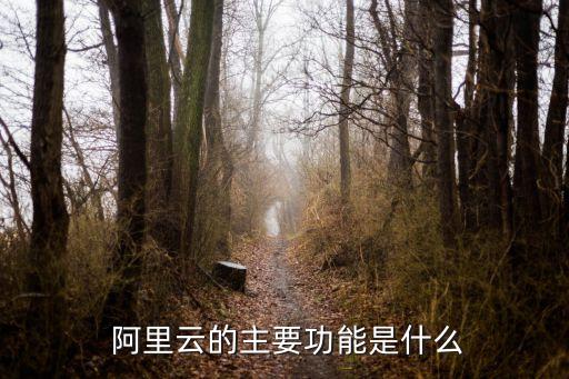  阿里云的主要功能是什么