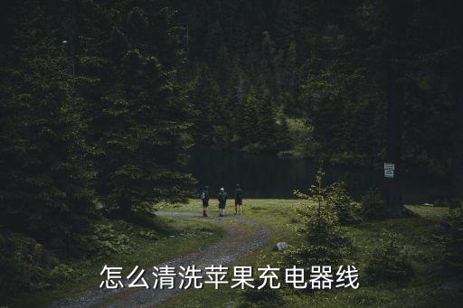清潔數(shù)據(jù)線,怎么清潔數(shù)據(jù)線上面的黑色