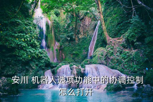  安川 機器人選項功能中的協(xié)調(diào)控制怎么打開