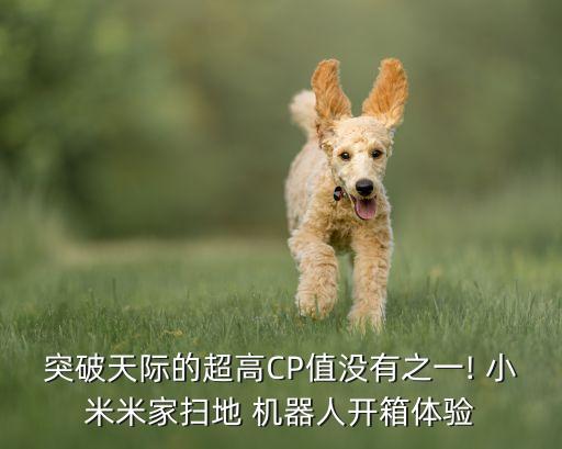 小米機(jī)器人玩具視頻教程,小米掃地機(jī)器人3c使用視頻教程