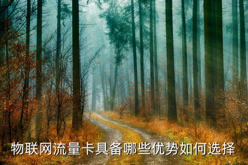 2012年終端市場對數(shù)據(jù)卡的需求