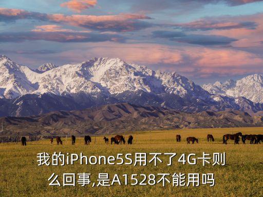 我的iPhone5S用不了4G卡則么回事,是A1528不能用嗎