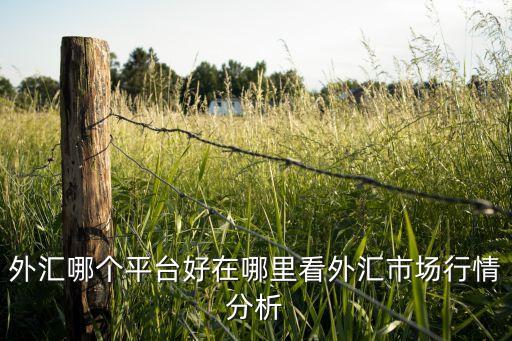 外匯哪個平臺好在哪里看外匯市場行情分析