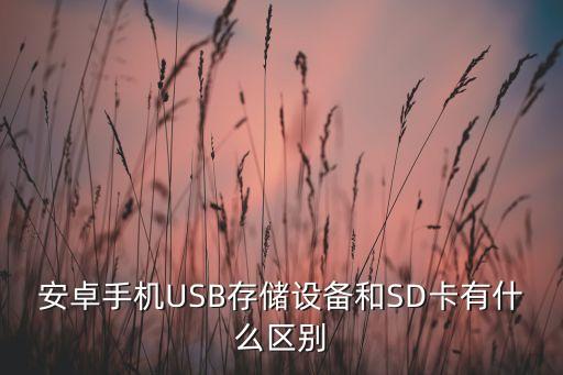 usb儲存數(shù)據(jù)是什么,能儲存電腦數(shù)據(jù)USB