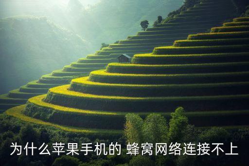 ipad蜂窩移動數(shù)據(jù)未知