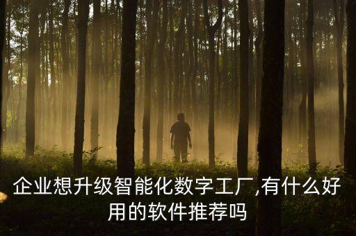 企業(yè)想升級智能化數(shù)字工廠,有什么好用的軟件推薦嗎