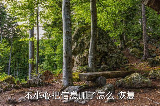 不小心把信息刪了怎么 恢復(fù)