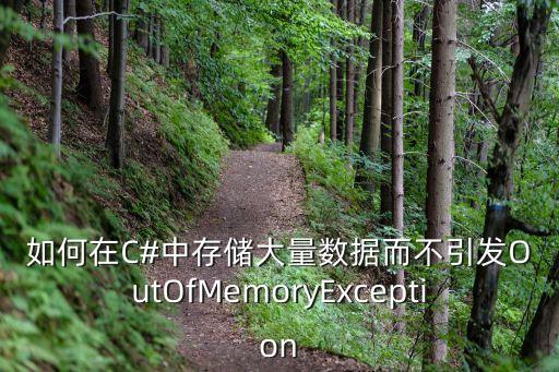 如何在C#中存儲(chǔ)大量數(shù)據(jù)而不引發(fā)OutOfMemoryException