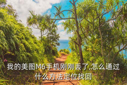 我的美圖M6手機剛剛丟了,怎么通過什么方法定位找回