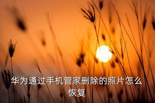  華為通過手機管家刪除的照片怎么 恢復(fù)