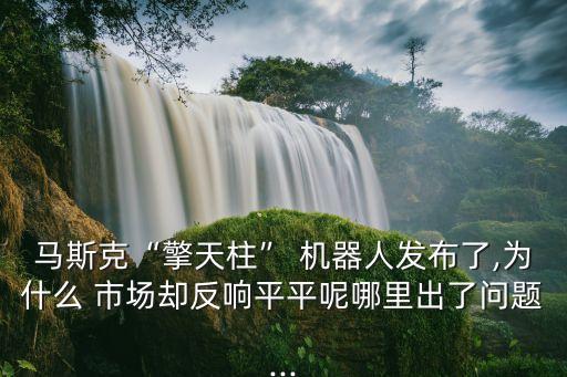 馬斯克“擎天柱” 機(jī)器人發(fā)布了,為什么 市場卻反響平平呢哪里出了問題...