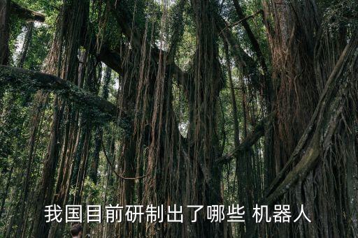 我國目前研制出了哪些 機器人