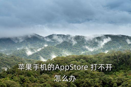 蘋果手機(jī)的AppStore 打不開怎么辦