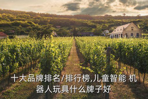 十大品牌排名/排行榜,兒童智能 機(jī)器人玩具什么牌子好