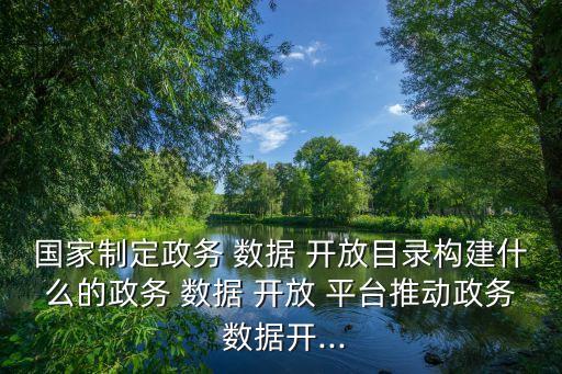 國(guó)家制定政務(wù) 數(shù)據(jù) 開放目錄構(gòu)建什么的政務(wù) 數(shù)據(jù) 開放 平臺(tái)推動(dòng)政務(wù) 數(shù)據(jù)開...