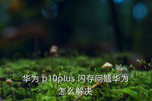 華為 p10plus 閃存問題華為怎么解決