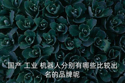 工業(yè)機器人品牌、,全球十大工業(yè)機器人品牌