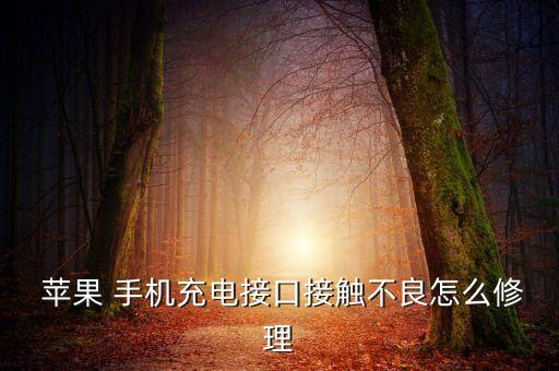 蘋果手機4數(shù)據(jù)線怎么修