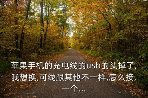 蘋果手機的充電線的usb的頭掉了,我想換,可線跟其他不一樣,怎么接,一個...